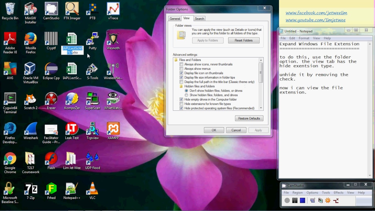 file expander windows